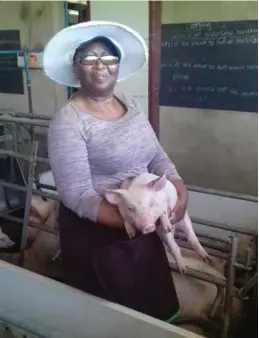  ?? (Image: Hlengiwe Ngobese) ?? Nomqondiso Mbhalo feeding pigs on her farm.