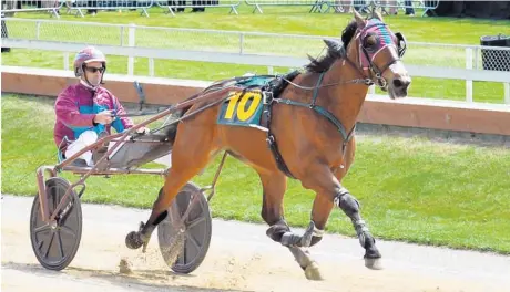  ?? Picture / Getty Images ?? Great Things Happen was awesome winning the Trot Free-For-All and a repeat in the Dominion Trot is on the cards.