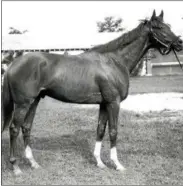 ?? COURTESY OF THE NATIONAL MUSEUM OF RACING AND HALL OF FAME ?? Winner of the 1959 Travers, Sword Dancer sired Damascus, winner of the 1967 Travers by 22 lengths.