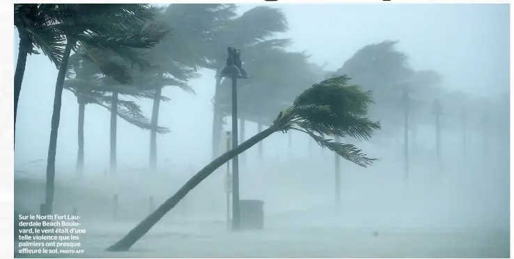  ?? PHOTO AFP ?? Sur le North Fort Lauderdale Beach Boulevard, le vent était d’une telle violence que les palmiers ont presque effleuré le sol.