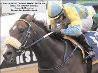  ??  ?? The Chesney van Zyl-trained REGENT SEVEN in Race 7 at Turffontei­n tomorrow. Keagan De Melo rides.