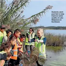  ??  ?? Students catch pest fish to help improve water quality at Lake Waiparera in Northland.