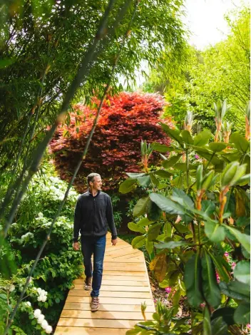  ??  ?? OPPOSITE A view back to the house takes in just a small section of the plants crammed onto this 5000-square-metre property.
THIS PAGE, CLOCKWISE FROM TOP A boardwalk aids flow around the garden; Dipelta floribunda; Calycanthu­s x raulstonii.