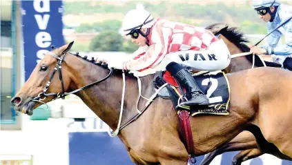  ??  ?? BACK ON TRACK. Racing returns to the Vaal Classic track tomorrow and Snowdonia could celebrate with a win in Race 7.