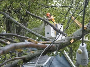  ?? DARREN CALABRESE /THE CANADIAN PRESS ?? A worker clears fallen trees and downed wires Saturday in Halifax, Nova Scotia.