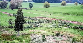  ?? GERALD PIDDOCK/STUFF ?? Satellite imagery was used to assess the amount of native vegetation on sheep and beef farms.