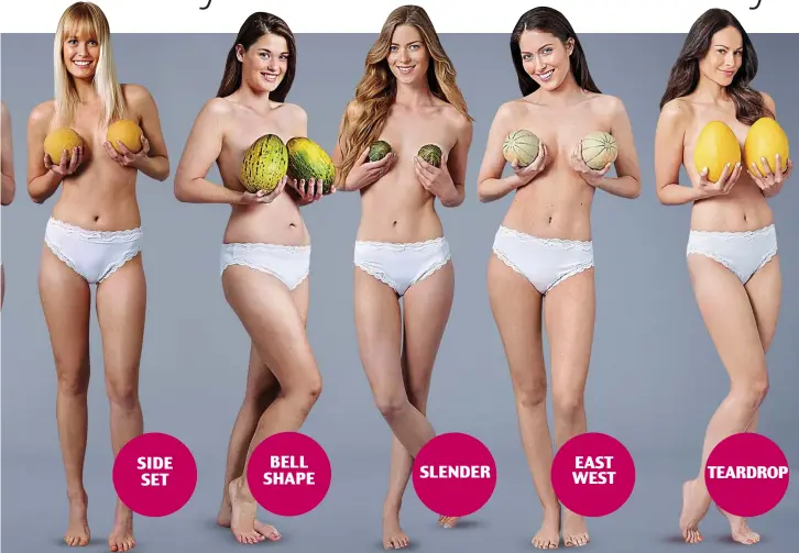 Forget cupsize, it's the shape that matters - PressReader