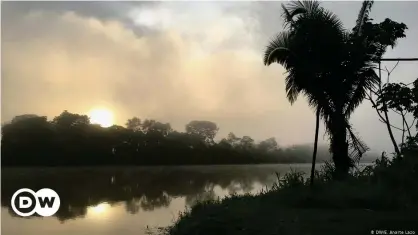  ??  ?? Más de la mitad de la superficie de Perú es selva amazónica.