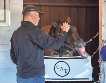  ?? PAT MCDONOGH, THE (LOUISVILLE) COURIER-JOURNAL ?? Matthew O’Connor, who’s affiliated with the horse’s ownership group, scratches the head of Kentucky Derby winner Always Dreaming on Sunday at Churchill Downs.