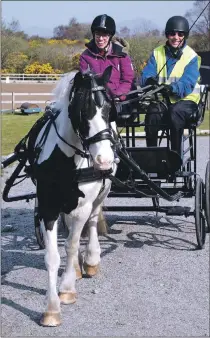  ??  ?? A therapy charity has put out an urgent plea for help so it can keep its two ponies fit and well. Argyll RDA Carriage Driving Group desperatel­y needs funds to pay farrier fees and other essential costs after coronaviru­s stopped all the activities it relies on for an income. To find out how you can help, turn to page two.