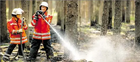  ?? DPA-ARCHIVBILD: SCHULZE ?? Häufig im Einsatz: Feuerwehrm­änner löschen einen Waldbrand in der Lüneburger Heide.