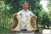  ?? ZHU DEQUAN / FOR CHINA DAILY ?? Jiang Shanhai, a beekeeper in Qiongzhong, Hainan province, harvests honey at his farm.