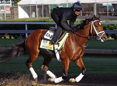  ?? GARRY JONES/THE ASSOCIATED PRESS ?? Exercise rider Isabelle Bourez and Kentucky Derby hopeful Patch have become fan favourites leading up to Saturday’s race.