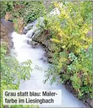  ?? ?? Grau statt blau: Malerfarbe im Liesingbac­h