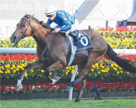  ?? Picture: AAP IMAGE ?? It's Somewhat, ridden by Zac Purton, wins the Group 1 Doncaster Mile last year before taking out the Hollindale Stakes on the Gold Coast.