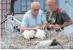  ?? FOTO: PAUL HAUG ?? Friedrich Widmann (links) und Olaf Oczko von der Feuerwehr Tuttlingen beim Beringen der drei Jungtörche.