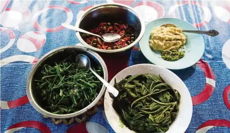  ??  ?? The simple meal Couplan enjoyed with the orang asli he met in Tapah.