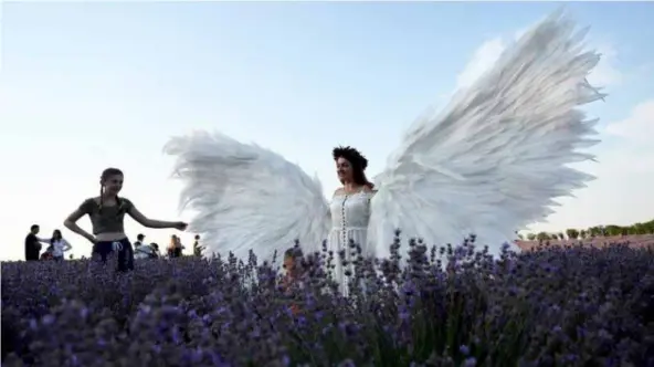  ?? AFP/VNA Photos ?? FLOWER POWER: A woman poses for a picture on a lavender field near the village of Valea-trestieni, some 30km east of Chisinau, Moldova.