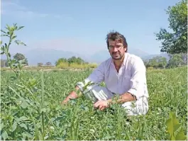  ?? FOTOS: VERONICA PUIG ?? Con riego. Gana, asesor de Agro San Pedro, destacó que el agua es clave.