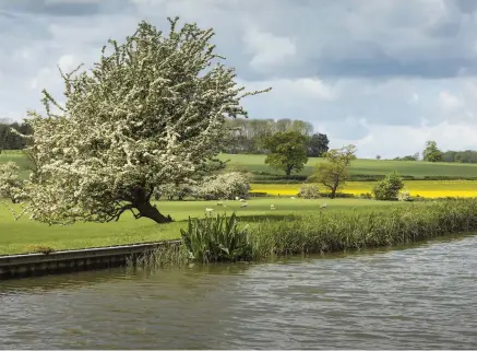  ??  ?? The Grand Union Canal in Leicesters­hire