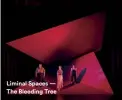  ??  ?? Liminal Spaces — The Bleeding Tree