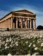  ??  ?? Paestum.Il sito è patrimonio Unesco