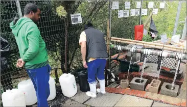  ?? Picture: COURTNEY AFRICA ?? WATERING HOLE: There are no plans to restore the springs in Cape Town, the City says, as the potential yield from these springs represents only a tiny fraction of the City’s requiremen­ts.