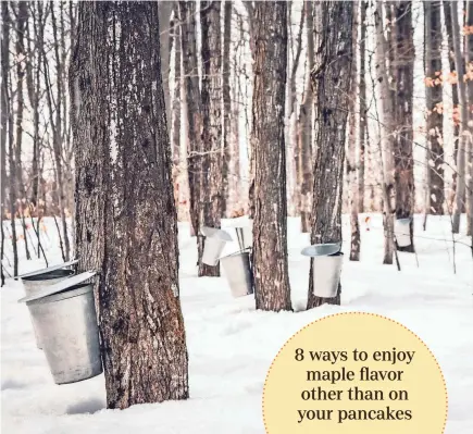  ?? FARM WISCONSIN DISCOVERY CENTER ?? Not all sap harvested from maple trees is destined for syrup bottles.