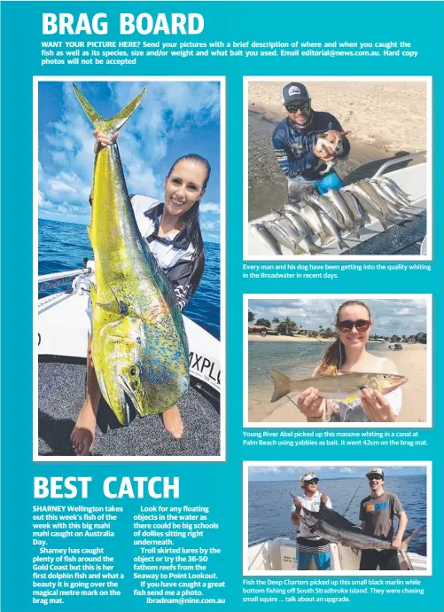  ??  ?? Every man and his dog have been getting into the quality whiting in the Broadwater in recent days. Young River Abel picked up this massive whiting in a canal at Palm Beach using yabbies as bait. It went 42cm on the brag mat. Fish the Deep Charters...