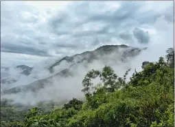  ?? YUNGUILLA RESERVE ?? The Yunguilla Reserve, about an hour from Ecuador’s capital, Quito, is situated in an Andean cloud forest.