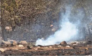  ?? PHOTOS BY SEAN LOGAN/THE REPUBLIC ?? Smoldering is seen at a burn area within the Museum Fire perimeter Thursday in Flagstaff.