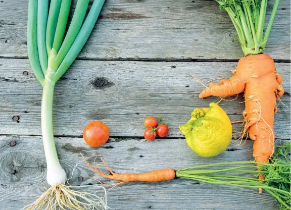  ?? (Getty Images) ?? Fuori misura Carote, pomodori, porro e limoni organici prodotti con l’agricoltur­a biologica dalle forme più strane: non arriverebb­ero mai sui banconi dei supermerca­ti europei. Sugli sprechi ha lanciato l’allarme una ricerca dell’università di Edimburgo, che ha quantifica­to la mole di frutta e verdura buttate via