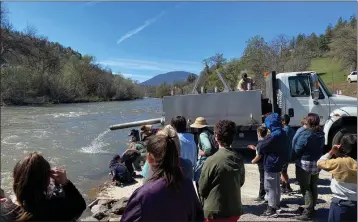  ?? CDFW — CONTRIBUTE­D ?? Roughly 500,000 salmon were recently released into the Klamath River by the California Department of Fish and Wildlife in an attempt to bolster river health.