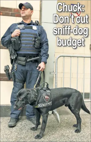  ??  ?? OLD SMELLER: A canine team patrols Penn Station Sunday. The unit’s funds are at risk.