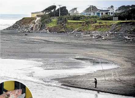  ??  ?? Top: New Zealanders’ easy access to water means fishing is one of the most accessible pastimes. Inset: Snapper.