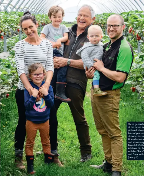  ?? PHOTOS MARK COOTE ?? Three generation­s of the Lewis family pictured at a very busy time of year among the strawberri­es on their Horowhenua asparagus and strawberry farm. From left Catherine, Addison (5), Archer (4) with his "Papa", Geoff, and Cam, with Charlie (nearly 2).