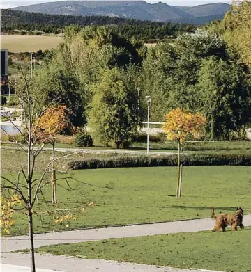  ?? ?? Sariguren
Un lago artificial se erige como uno de los elementos urbanos más caracterís­ticos y atractivos de la ecociudad