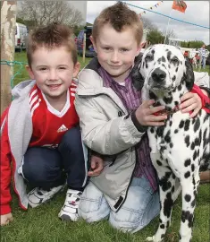  ??  ?? A BLAST FROM THE PAST - 2009: Dylan O’Neill and Jack Feeney with ‘Laya’ at the Clonroche Vintage and Steam Festival.