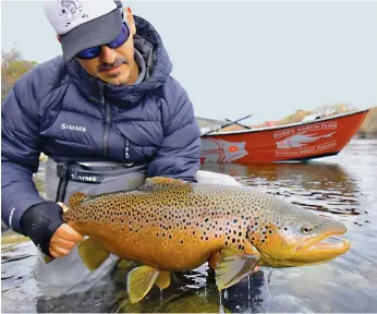  ??  ?? Izq.: si bien el otoño es época de marrones, las arco iris siempre nos puede dar una sorpresa. Der.: marrón macho con colores de otoño capturada por Segundo Beccar Varela.