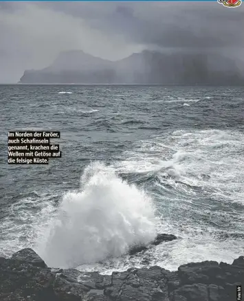 ?? ?? Im Norden der Faröer, auch Schafinsel­n genannt, krachen die Wellen mit Getöse auf die felsige Küste.
