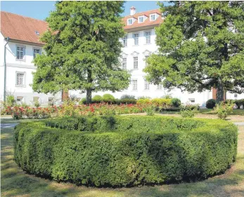  ?? FOTO: UWE JAUSS ?? Eine vom Buchsbaumz­ünsler befallene Hecke im Hof des Bad Wurzacher Schlosses. Untersucht man die Büsche genauer, fallen in einzelnen Bereichen Fraß- und Kotspuren des Schädlings auf.