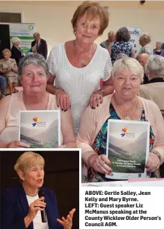  ??  ?? ABOVE: Gertie Salley, Jean Kelly and Mary Byrne. LEFT: Guest speaker Liz McManus speaking at the County Wicklow Older Person’s Council AGM.