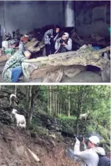  ??  ?? From top: Grobbelaar shooting artists creating root carving works in Wulong county during the project; Grobbelaar shooting his documentar­y for the project at the Fairy Maiden Mountain in Chongqing.