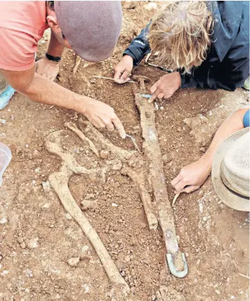  ??  ?? The ‘ Marlow warlord’s remains, treasures and grave, above, were found by metal detectoris­t Sue Washington, right. A team of archaeolog­ists from Reading University moved in to excavate the site, left
