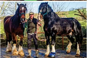  ??  ?? My hero: A recovered Beatrice, left, with Beau and owner Donald MacIntyre