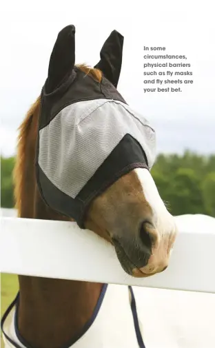  ??  ?? in some circumstan­ces, physical barriers such as fly masks and fly sheets are your best bet.