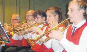  ?? FOTO: KARL-PETER NEUSCH ?? Die Musiker des Musikverei­ns aus Frohnstett­en sorgen für allerbeste Unterhaltu­ng.