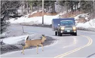  ?? JIM COLE/ASSOCIATED PRESS ?? A deer runs across a road in Pittsburg, N.H., in 2010. In Oregon, motorists who crash into animals can now harvest the meat for human consumptio­n.