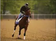  ?? Julio Cortez / Associated Press ?? Preakness entrant Epicenter, the runner-up in the Kentucky Derby, gallops during a morning workout Thursday ahead of the Preakness Stakes at Pimlico Race Course in Baltimore.