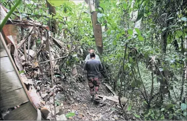  ??  ?? Familia Aguavil. Los esposos Catalina y Telmo Aguavil se han encargado de cuidar el bosque. Ellos construyer­on senderos para recorrerlo en familia y evitar la caza.